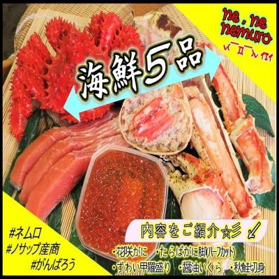 ふるさと納税 根室市 海鮮5品セットA E-59002