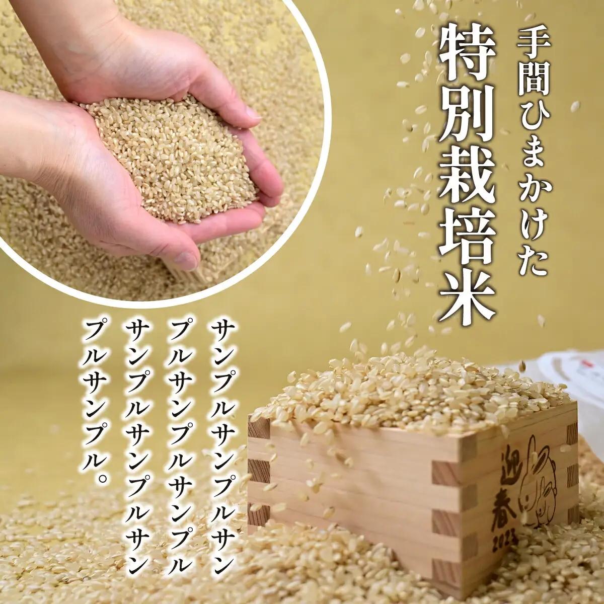 【特別栽培米】コシヒカリ　茨城県産　玄米　4.5kg【1670040】