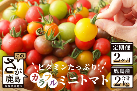 【先行予約】 カラフルミニトマト『Ricotomato』 【1kg×2回定期便】【2024年12月から出荷】とまと トマト ビタミンたっぷりトマト ミニトマト  おいしいトマト D-92