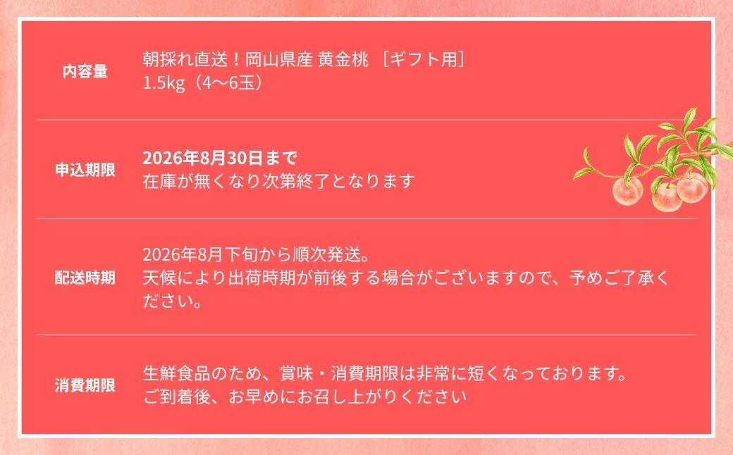 【2026年先行予約】［なんばふぁーむ］岡山県産 黄金桃 1.5kg（4～6玉）[ギフト用]桃 もも モモ おうごんとう フルーツ 果物  朝採り旬 岡山県産 産地直送 産直 送料無料 鏡野町桃 もも
