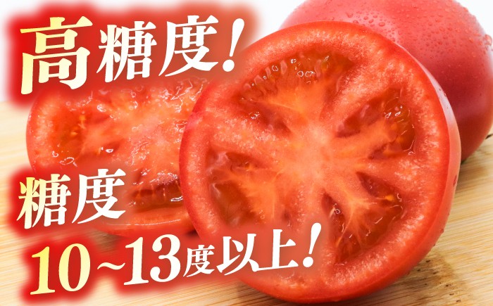 濃厚!徳谷トマト約1.0kg 箱詰 生産者指定なし 厳選上級品 〈2025年1月～発送〉[ATAC322]