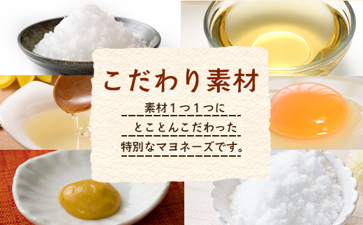 こっこの陽なたマヨ 170g×2個｜平飼いたまご使用・無添加風マヨネーズ｜安心・安全 調味料 サラダ・ポテトサラダ・ディップ・ドレッシングに