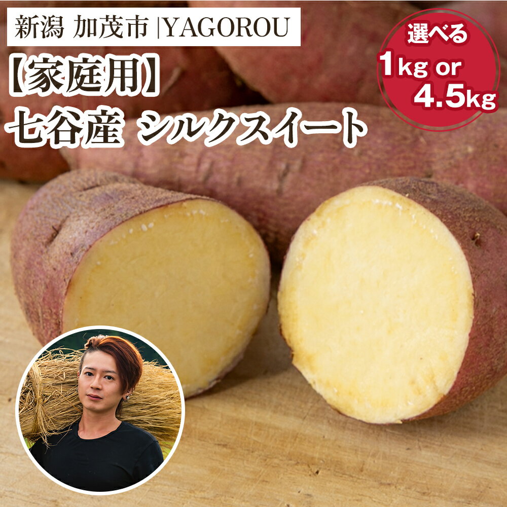 【ふるさと納税】【2025年先行予約】【家庭用】シルクスイート （A品・B品混在） 選べる 「1kg」 or 「4.5kg」 新潟県加茂市七谷産 さつまいも《11月下旬〜順次発送》 サツマイモ お芋 焼き芋 スイートポテト 野菜 根菜 低温熟成 加茂市 YAGOROU ヤゴロウ