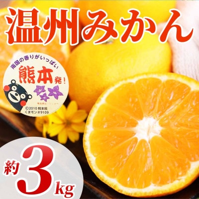 温州みかん 2S～2L 約3kg(宇城市)【1638949】