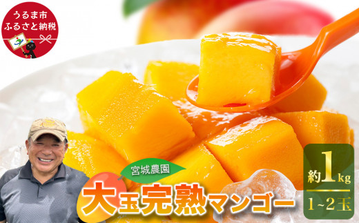 宮城農園の完熟マンゴー　約1kg（1~2玉）【 先行予約 2027年発送 】
