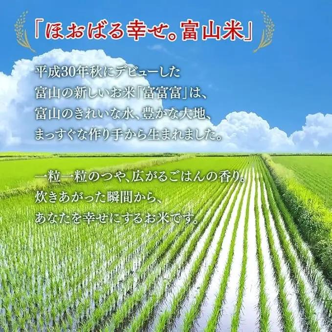【令和7年度米】富山県産米「富富富」10kg（5kg×2袋）（精米）｜富富富 ふふふ こめ コメ お米 おこめ 白米 精米 ブランド米 雪解け水 冷めても 美味しい おにぎり お弁当 高品質 魚津市 