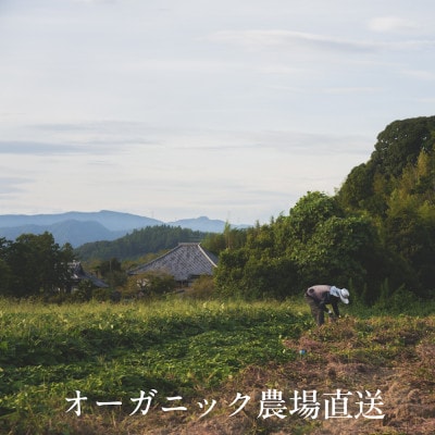 【毎月定期便】しあわせ野菜畑の有機野菜　Sセット　(安心の有機JAS認証　オーガニック野菜)全6回【配送不可地域：離島・北海道・沖縄県・四国・九州】