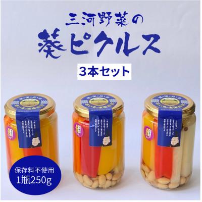 ふるさと納税 岡崎市 三河野菜の葵ピクルス「あいちの家康酢漬」250gびん3本