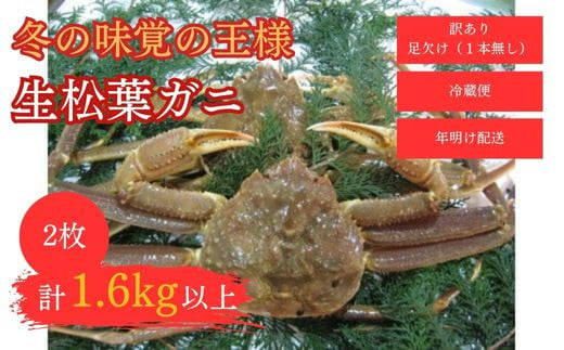 【和星水産】訳あり 生松葉ガニ 2枚（計1.6kg以上） 年明け配送 松葉ガニ カニ ズワイガニ カニ爪 訳あり わけあり 冷蔵 かにしゃぶ カニ刺身 ずわいがに 鮮度抜群 国産 高級 足欠け 足かけ 鳥取県 倉吉市