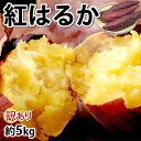 【ふるさと納税】訳あり 紅はるか 約5kg/約10kg 選べる内容量 べにはるか さつまいも 芋 野菜 ご家庭用 益城町産 熊本県産 九州産 送料無料