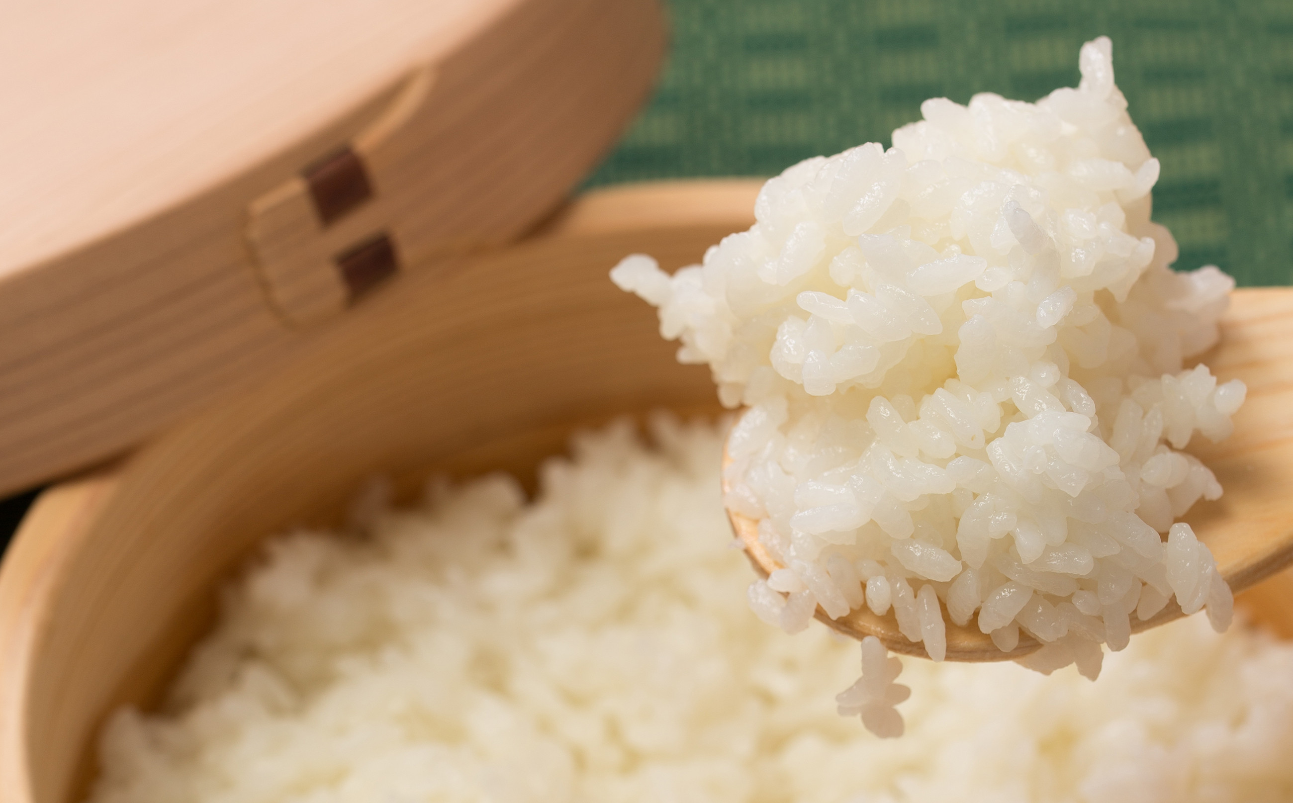 【定期便6ヶ月】令和7年産　秋田県産米「あきたこまち（無洗米）」 5kg（5kg×1袋）300P9203