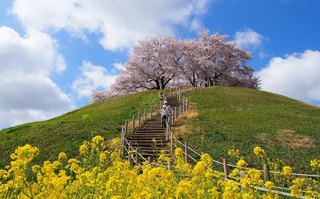 No.493 観光タクシーで行く！6時間行田満喫フルコース（3名様）