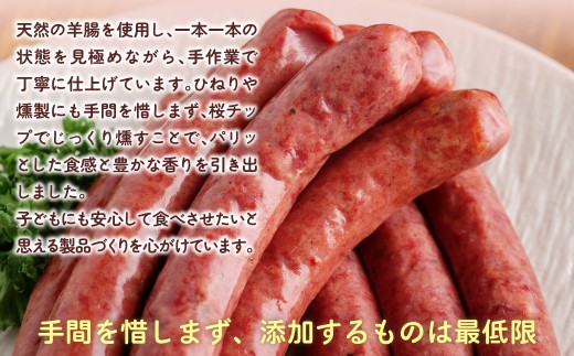 鹿肉ソーセージ600g（120gx5袋）【 ふるさと納税 人気 おすすめ ランキング ソーセージ ウインナー 鹿肉 エゾシカ ジビエ 安心 安全 厳選素材 国産 真空パック 北海道 十勝 鹿追町 送料