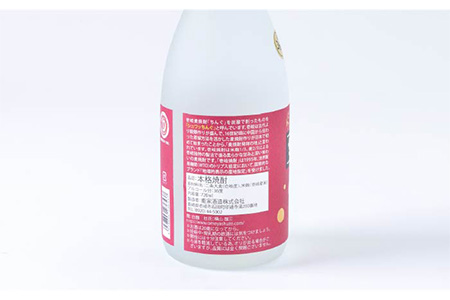 【全6回定期便】重家酒造 サブロック 720ml 2本組 [JCG088] 焼酎 麦焼酎 むぎ焼酎 本格焼酎 酒 お酒 セット 36度 ハイボール  120000 120000円