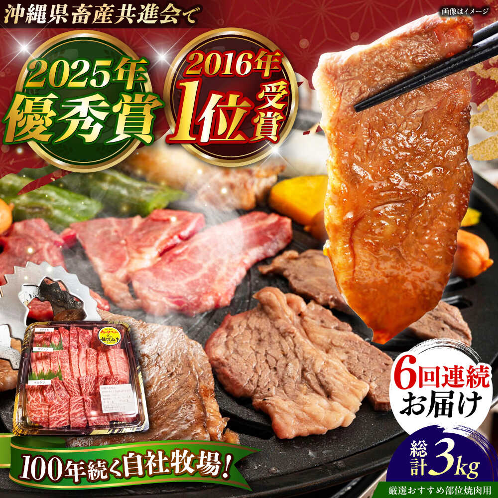 【ふるさと納税】【全6回定期便】【厳選！おすすめ部位】沖縄和牛 佐渡山牛 焼肉用 500g 牛肉 焼肉 焼き肉 和牛 赤身 沖縄市 / 肉のサブロー [BCBC012]