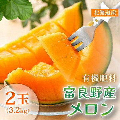 【ふるさと納税】【糖度15度以上 赤肉メロン】富良野産 メロン 1.6kg×1玉 2箱|北海道富良野市 7～8月発送【1471806】
