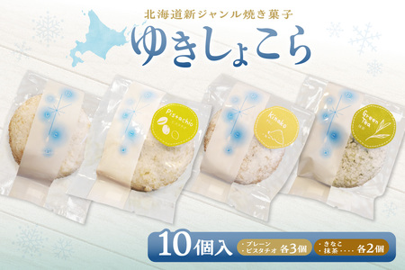 ゆきしょこら（オススメセット）10個入り 焼き菓子