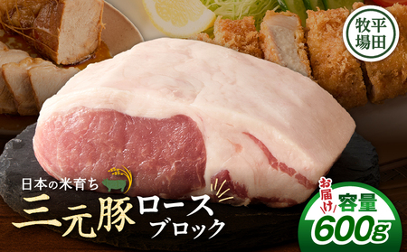 【 平田牧場 】 三元豚 ロース ブロック 600g T036-014 肉 お肉 にく 豚 豚肉 ブタ ぶた ロースブロック 黒豚 バークシャー種 特別品種 便利 パック おかず 夕食 美味しい おいしい ジューシー ふるさと納税 北海道 苫小牧市 おすすめ ランキング プレゼント ギフト