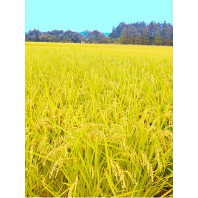 ふるさと納税 花巻市 【毎月定期便】岩手花巻産「健土健米」ひとめぼれ　5kg全3回 |  | 01