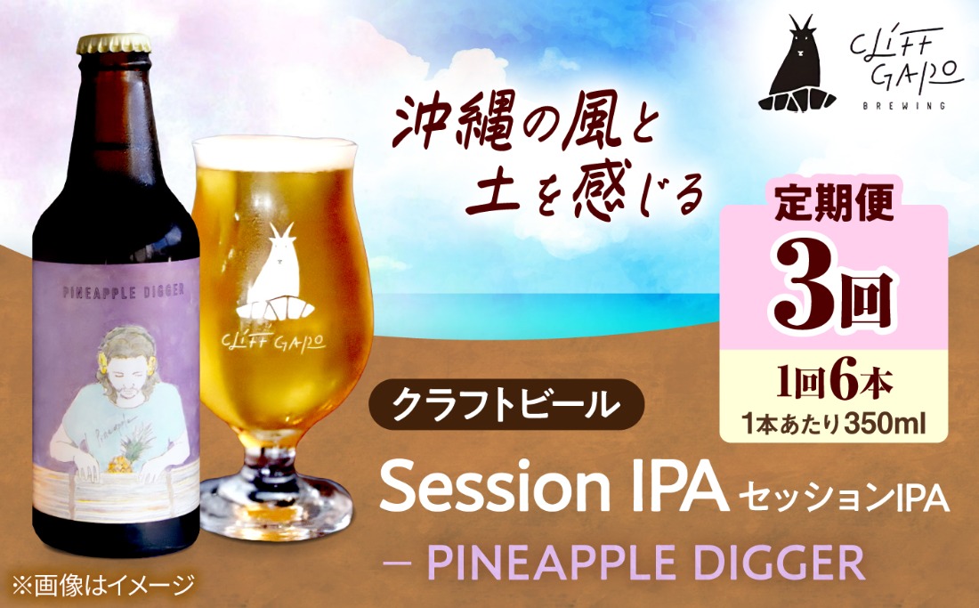 【全3回定期便】-CLIFF BEER- PINEAPPLE DIGGER  (セッションIPA) 6本入り ビール クラフトビール 350ml 飲み比べ ギフト 沖縄市 / 株式会社クリフクラフト[BCDS018]