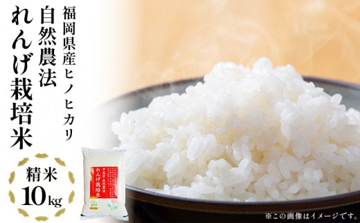 
                  《先行予約》令和8年産 れんげ米 れんげ農法栽培米「ヒノヒカリ」（精米10kg）新米 BI24
                