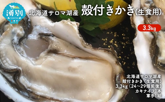 
                  [№5930-0273]北海道 サロマ湖産 殻付き かき 生食用 3.3kg 牡蠣 カキ 海鮮 国産 貝付き 焼き牡蠣 蒸し牡蠣 冷蔵 オホーツク 魚貝類 生牡蠣 殻付きかき 3.3kg北海道産 産地直送 
                