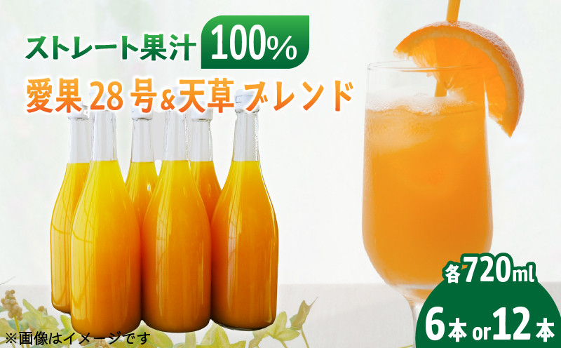 
                  あいか ＆ 天草 ブレンド 果汁100％ ジュース 720ml×6本/12本 | ストレート 無添加 みかん 愛果28号 紅まどんな と同品種 果汁100 オーガニック 無添加 ストレートジュース 数量選択可 みかんジュース 果汁100% みかんジュース ジュース 柑橘 果汁飲料 みかんジュース NPO法人農音 愛媛県 松山市 中島
                