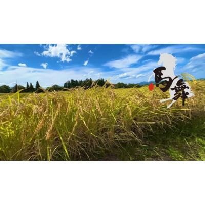 ふるさと納税 十日町市 【毎月定期便】魚沼産コシヒカリ[馬舞] 白米 5kg全6回 |  | 03