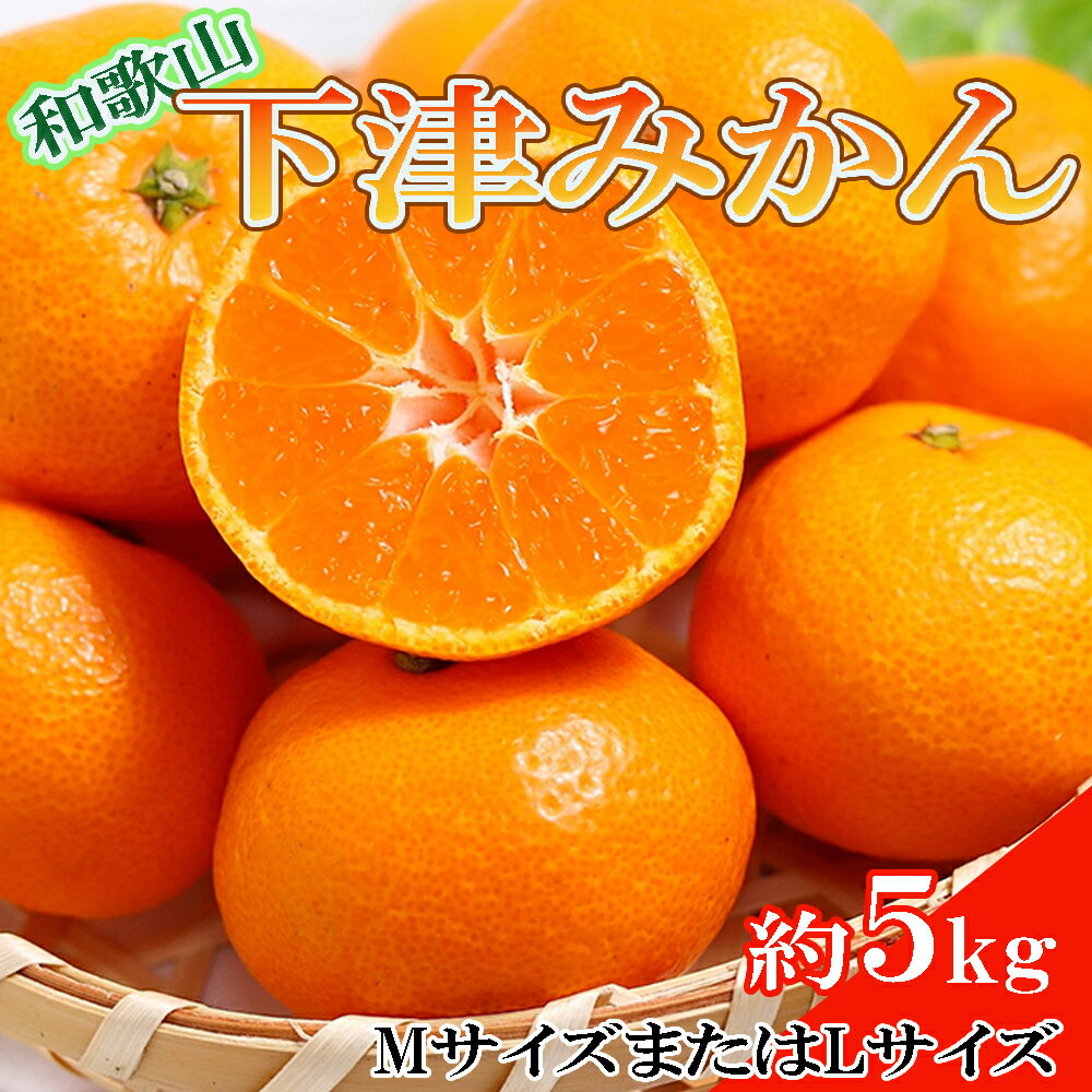 【ふるさと納税】 【産直・秀品】和歌山下津みかん約5kg(MサイズまたはLサイズのいずれかをお届け) ※2026年11月中旬～2027年1月中旬頃に順次発送(お届け日指定不可)