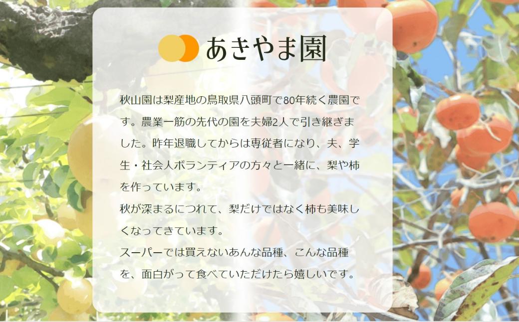新雪梨(特秀) 3kg