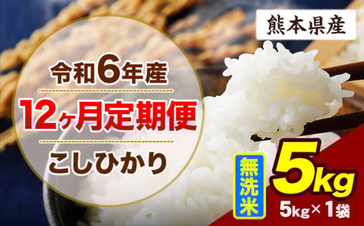【12ヶ月定期便】令和6年産 定期便 こしひかり 5kg 無洗米 阿蘇 うぶやま 米 定期便 熊本県産 ふるさと納税 精米 ひの 米 こめ ふるさとのうぜい コシヒカリ コメ お米 おこめ《申込み翌月から出荷》
