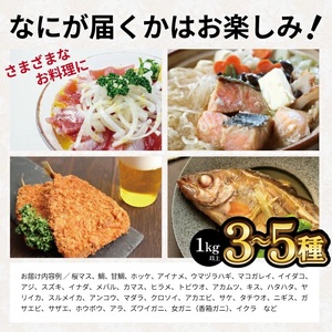 SB0522　地魚おまかせセット(下処理済)　計1kg以上(3～5種類入)