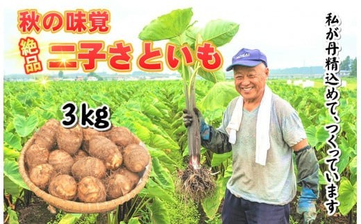 
                  【R8年9月より発送】 二子さといも 3kg以上！ 秋の味覚 小原さんの さといも サトイモ 里芋 限定  ふたご 二子 秋 限定【特産品！数量限定・期間限定】岩手県 北上市 C0164
                