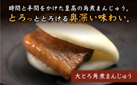 長崎角煮まんじゅう2種 計16個 [CFE008] 角煮まん おやつ
