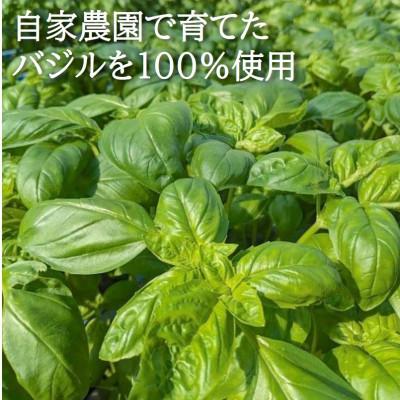 ふるさと納税 印南町 濃厚・無添加　バジルソース(ジェノベーゼソース)　瓶　100g×3本 |  | 01