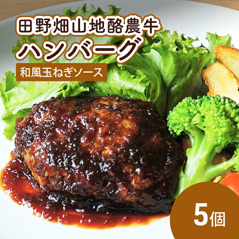 【ふるさと納税】 田野畑山地酪農牛ハンバーグ 和風玉ねぎソース 5個 牛肉 肉 牛 惣菜 おかず お弁当 冷凍 小分け 個包装 湯煎 温めるだけ 簡単調理 レトルト 岩手県 盛岡市 東北 岩手 盛岡 有限会社 秀吉