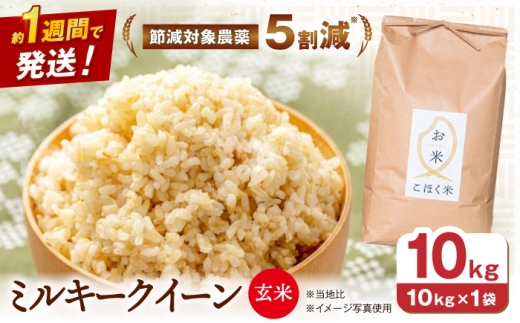 滋賀県 湖北のミルキークイーン 10kg (玄米)　米 お米 ご飯 ごはん ゴハン おにぎり 炊き込みご飯 人気 おすすめ