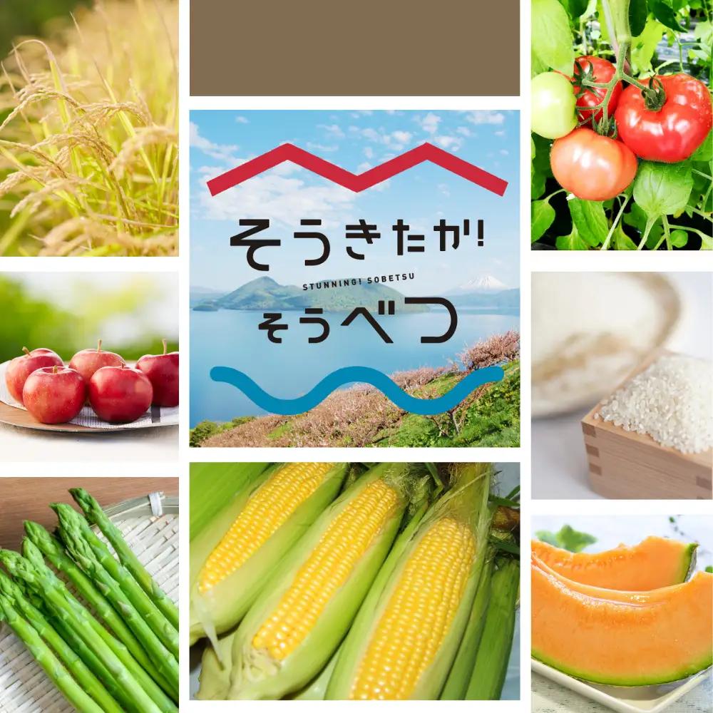 【ふるなびWEEK対象】シードル・デ・ソウベツセット（スイート2本・ドライ1本）＜そうべつ産りんご100%使用＞ SBTA037