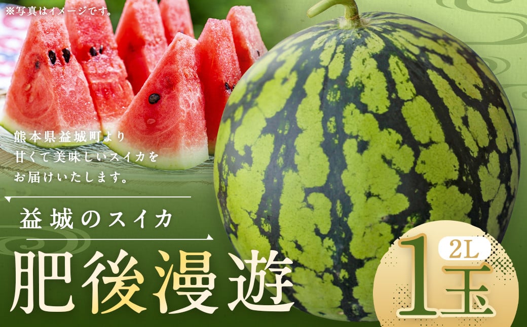 熊本県 益城町 スイカ 肥後漫遊 2L 1玉  約7kg 【2025年6月下旬迄発送予定】