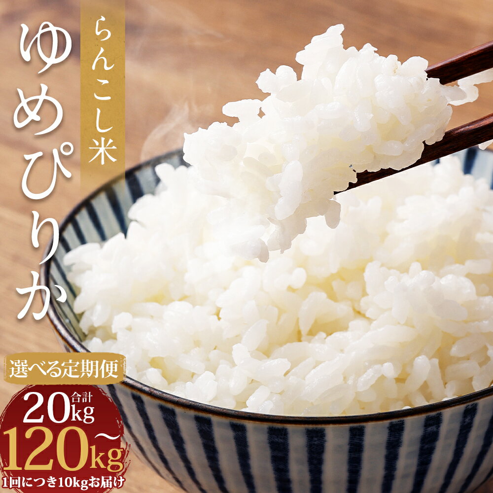 【ふるさと納税】【選べる定期便】らんこし米 ゆめぴりか 10kg 2ヶ月/3ヶ月/4ヶ月/5ヶ月/6ヶ月/7ヶ月/8ヶ月/9ヶ月/10ヶ月/11ヶ月/12ヶ月 定期便 お米 精米 白米 ゆめぴりか 蘭越町産 北海道産 送料無料