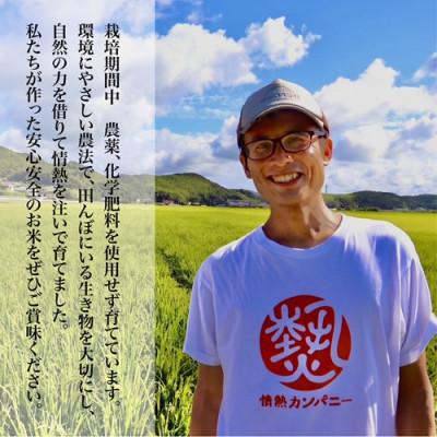 ふるさと納税 阿南市 【令和8年産　新米先行予約】コシヒカリ白米5kg《栽培期間中農薬・化学肥料不使用》徳島県阿南市産 |  | 01