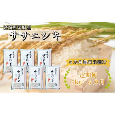 ふるさと納税 栗原市 【毎月定期便】ササニシキ白米5kg(5kg×1袋) 宮城県栗原産全6回