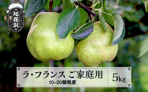 
            先行予約 訳あり ラ・フランス 約5kg (10~20個程度) 無印品 11月上旬頃~発送 山形県産 フルーツ 果物 くだもの 2025年産 令和7年産 佐竹物産 sb-laxxw5
          