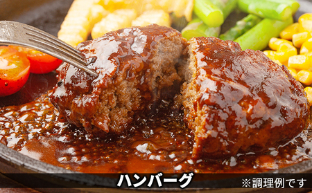 黒部名水ポーク ハンバーグ・しゃぶしゃぶ 黒部名水ポーク【ハンバーグ10個 肉約250g】