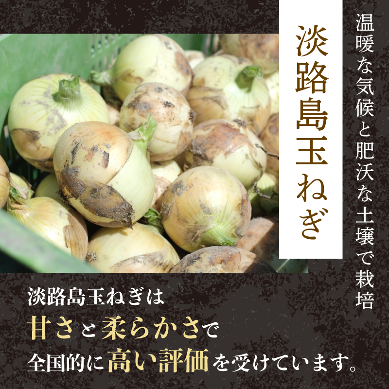 黒毛和牛 ハンバーグ 200g×15個 3㎏ 丹波牛 ブランド牛 国産 京都府産 黒毛 和牛 肉 牛 牛肉 合い挽き 豚肉 淡路島 玉ねぎ たまねぎ 冷凍 真空 小分け 個包装 お弁当 おかず 惣菜 