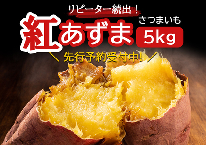 《先行予約》リピーター続出！さつまいも 紅あずま5kg 【神崎町・杉山農園から産地直送】2025年9月発送予定[019-a001]【さつまいも いも 芋 紅あずま 焼き芋 チップス 干し芋】