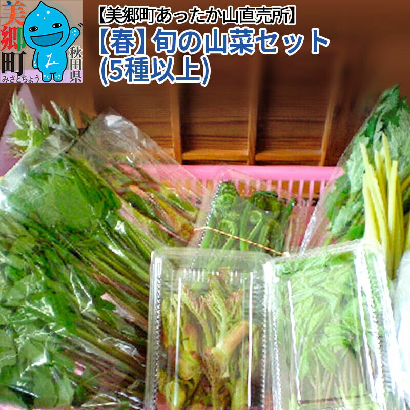 【ふるさと納税】＜先行受付＞【春】旬の山菜セット（5種類以上）美郷町あったか山直売所／ワラビ・タラの芽・タケノコ・山ウド・アイコ・シドケなど中身おまかせ [山菜 詰め合わせ]