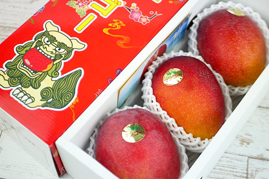 【2026年発送】伊敷さん家の美味しい完熟マンゴー1kg（ご家庭用）