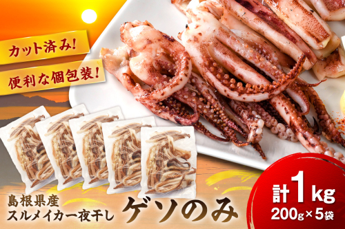 【訳あり】スルメイカ一夜干し”ゲソのみ” 計1kg（小分け200gｘ5袋）【005_0140】