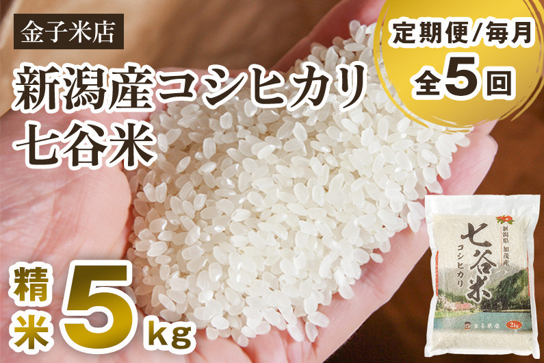 
            【令和6年産新米】【定期便5ヶ月毎月お届け】老舗米穀店が厳選 新潟産 従来品種コシヒカリ「七谷米」精米5kg 白米 窒素ガス充填パックで鮮度長持ち 金子米店 定期便
          